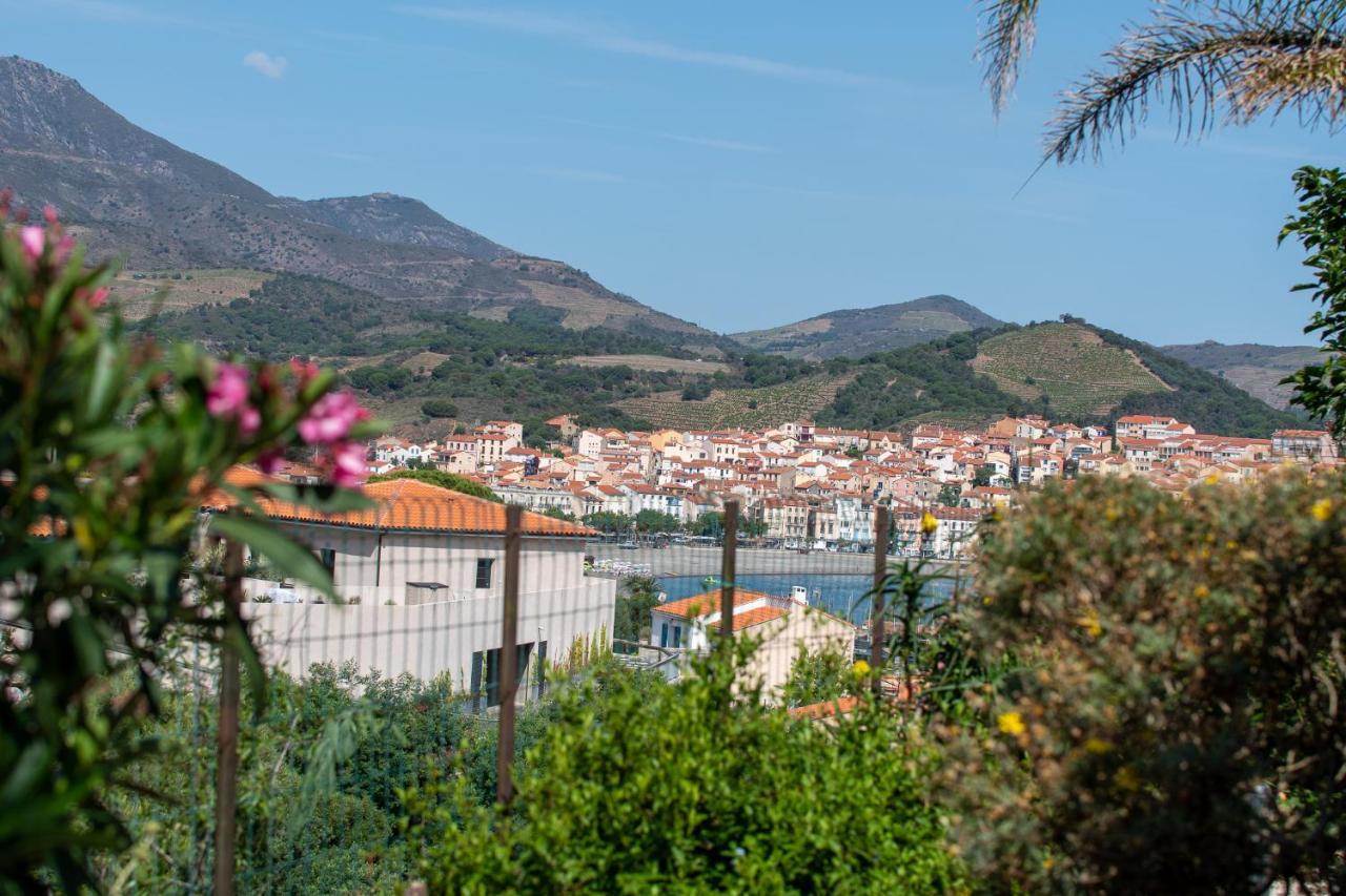 Villa Bougainvilliers Banyuls-sur-Mer Zewnętrze zdjęcie