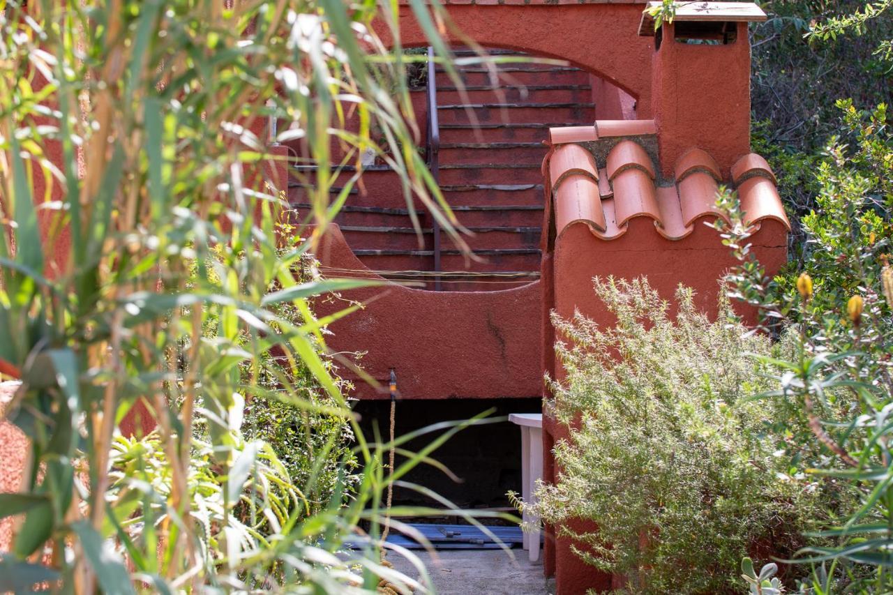 Villa Bougainvilliers Banyuls-sur-Mer Zewnętrze zdjęcie