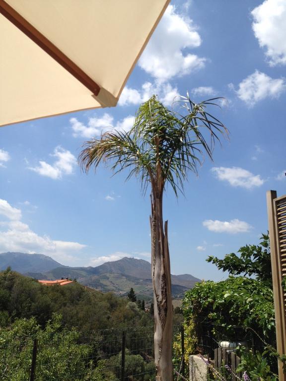 Villa Bougainvilliers Banyuls-sur-Mer Pokój zdjęcie